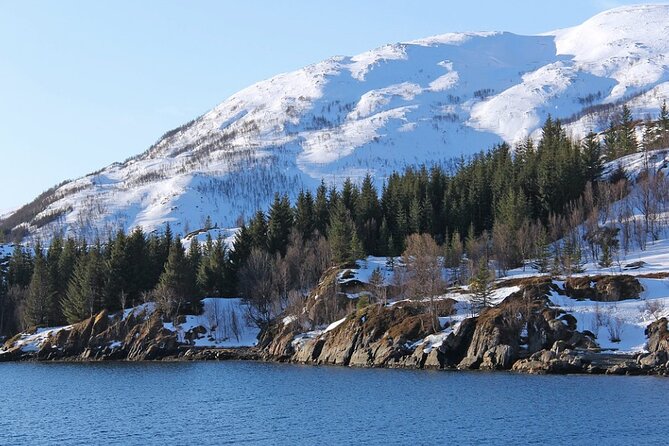 Tromsø, Northern Lights and Wilderness Evening Catamaran Cruise - Mixed Feedback With Varied Ratings