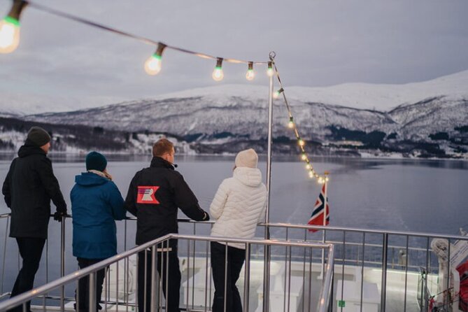 Tromsø, Northern Lights and Wilderness Evening Catamaran Cruise - Common Themes in Customer Reviews
