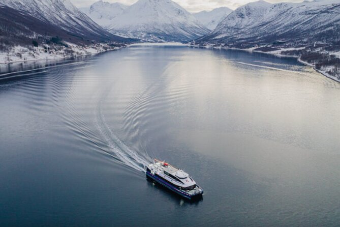 Tromsø, Northern Lights and Wilderness Evening Catamaran Cruise - Encouragement for Sharing Traveler Photos