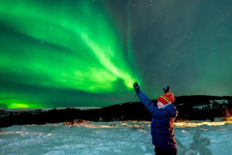 Tromsø: Northern Lights Chase Minibus Tour With Campfire - Experience Highlights