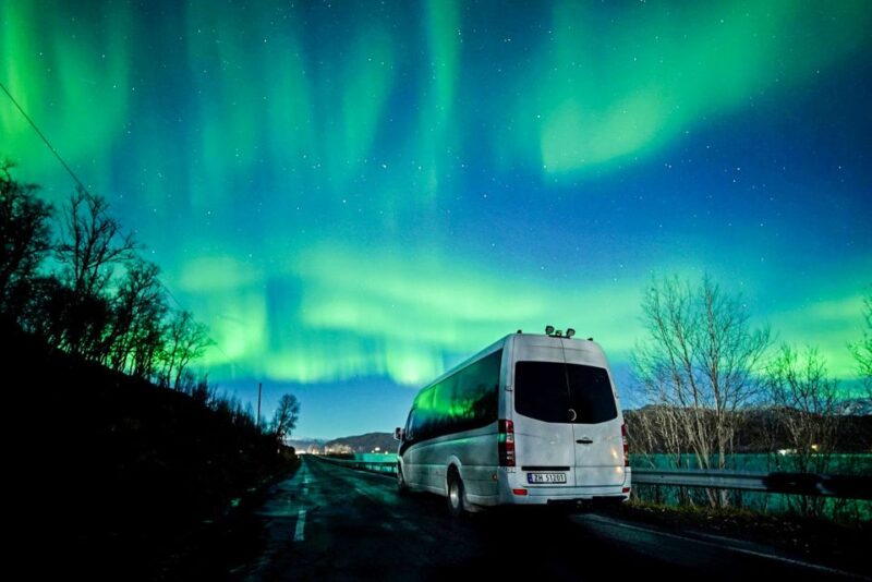 Tromsø: Northern Lights Chase Minibus Tour With Campfire - Itinerary Details