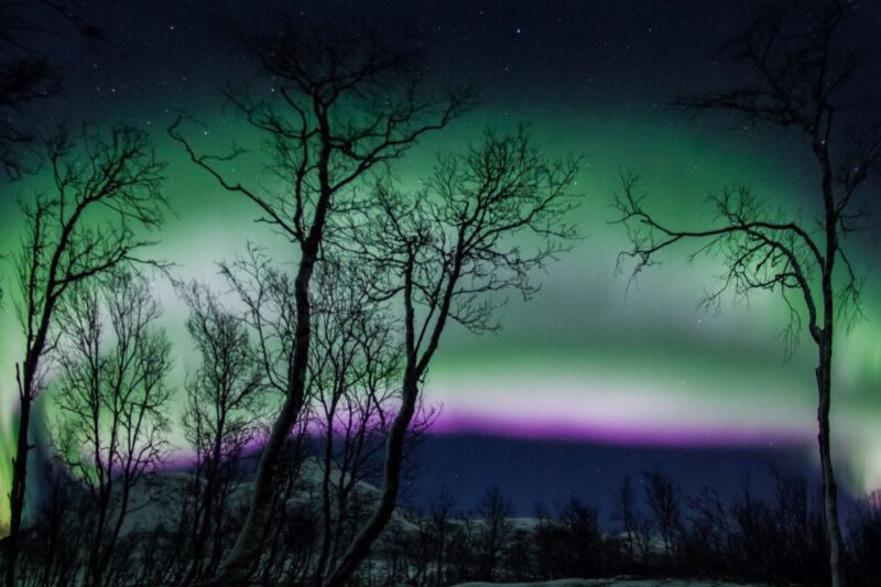 Tromsø: Northern Lights Chase With Free Photos - Tour Itinerary