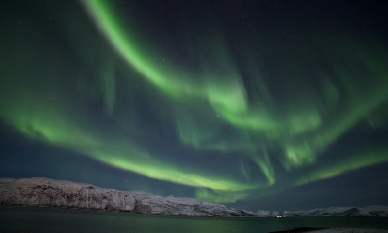 Tromsø: Northern Lights Guided Bus Tour - Tour Experience