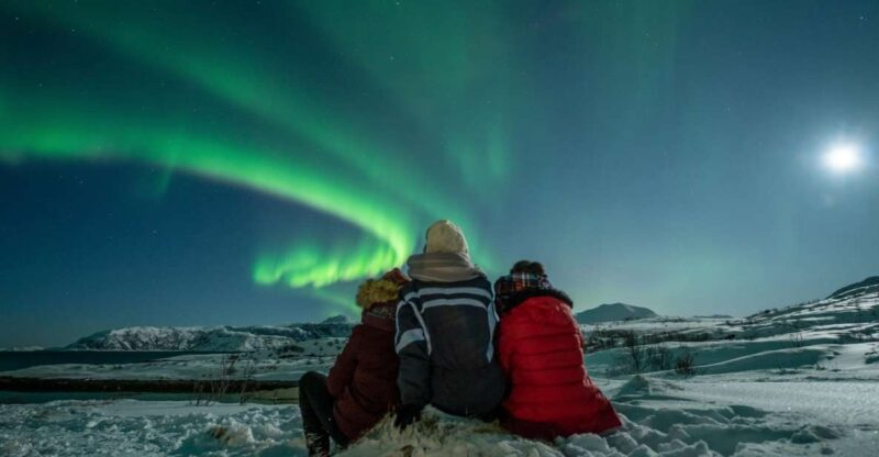 Tromsø: Northern Lights Guided Bus Tour - Tour Logistics