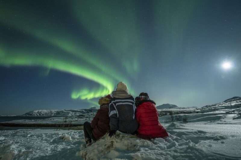 Tromsø: Northern Lights Guided Bus Tour - Cancellation and Rescheduling