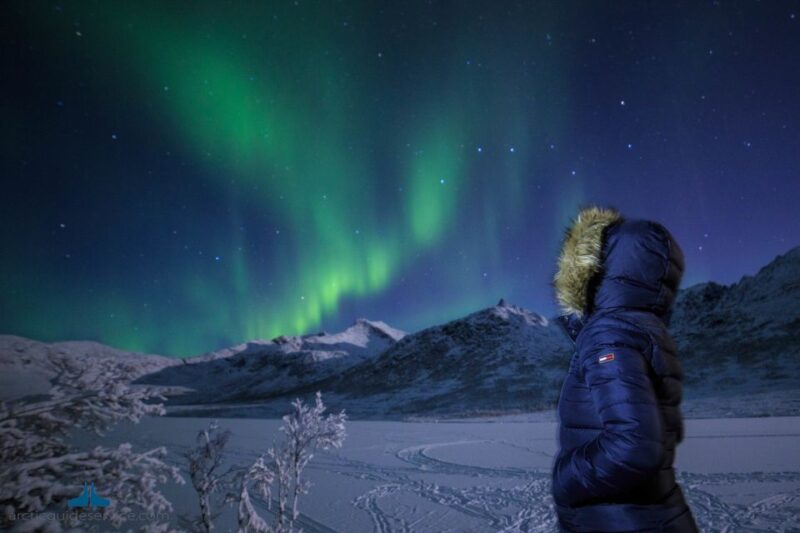 Tromsø: Northern Lights Guided Bus Tour - Recommendations for Visitors