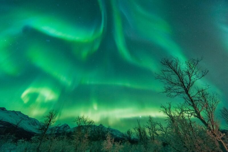 Tromsø: Northern Lights Hunt With Photos and Hot Food - Tour Highlights