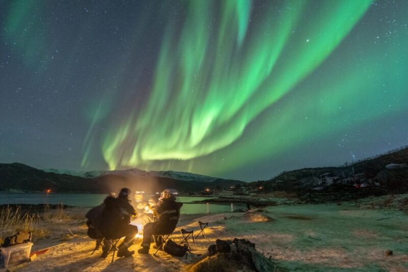 Tromsø: Northern Lights Hunt With Photos and Hot Food - Participant Requirements