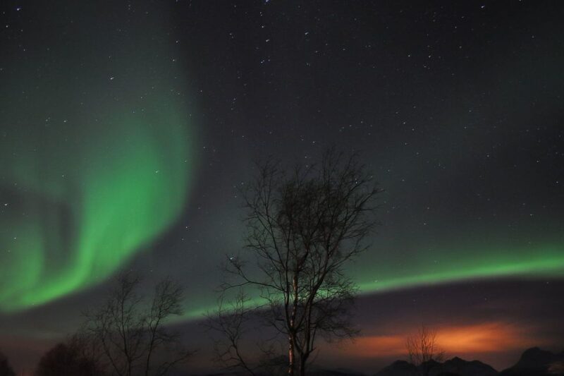 Tromsø: Northern Lights Husky Visit With Traditional Dinner - Included Features