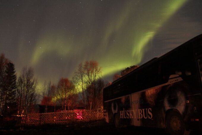 Tromsø: Northern Lights Husky Visit With Traditional Dinner - Savoring the Traditional Meal