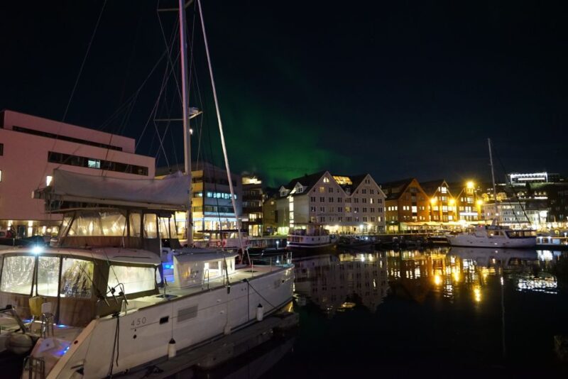 Tromsø: Northern Lights Luxury Catamaran Cruise - Experience Highlights