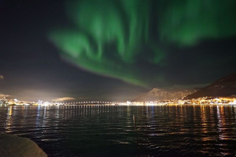 Tromsø: Northern Lights Luxury Catamaran Cruise - Customer Reviews and Ratings