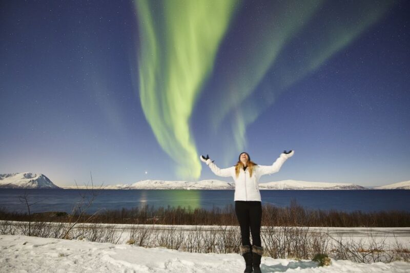 Tromso: Northern Lights Photo Excursion - Seeking the Northern Lights
