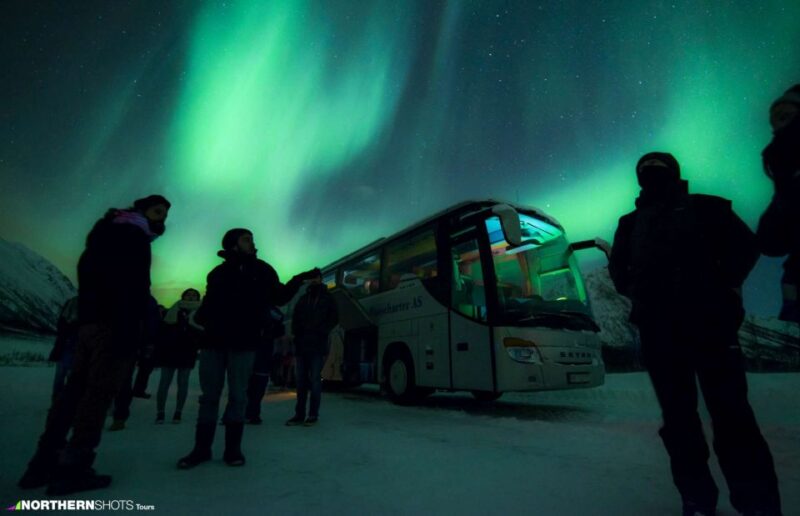 Tromso: Northern Lights Photography Bus Tour - Key Points