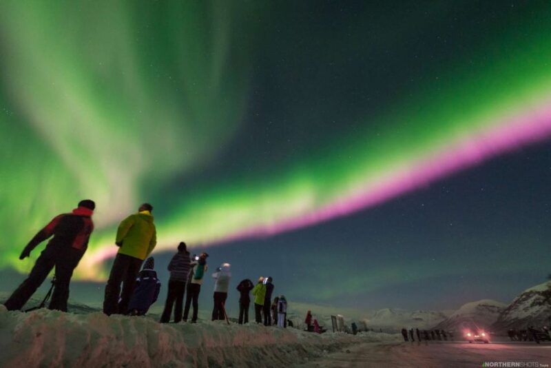 Tromso: Northern Lights Photography Bus Tour - Experience Highlights