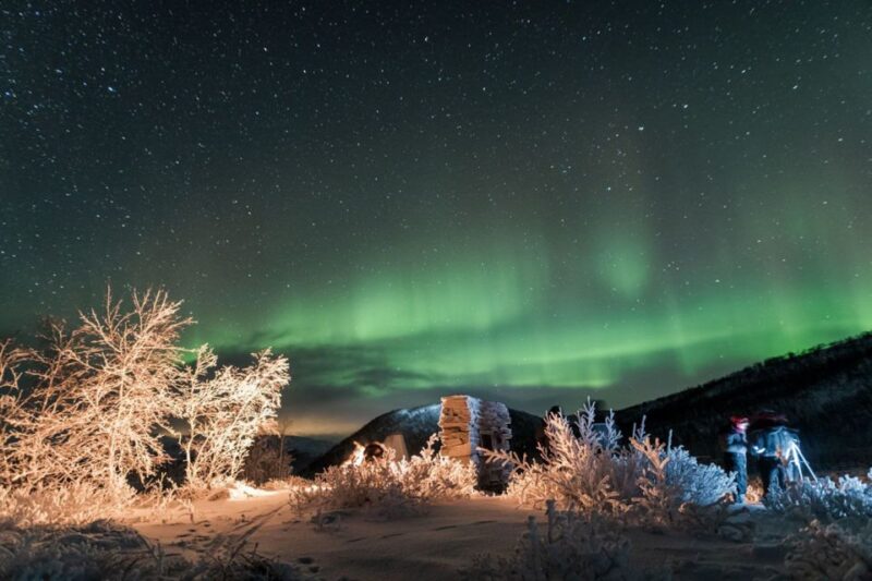 Tromsø: Northern Lights Photography Tour - Meeting Point and Recommendations