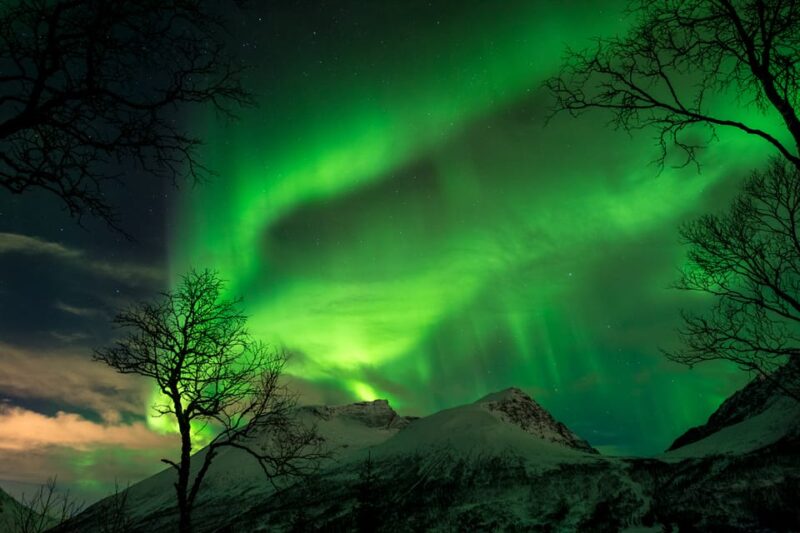Tromsø Northern Lights - Private Group Tour With Local Guide - Local and Professional Guides