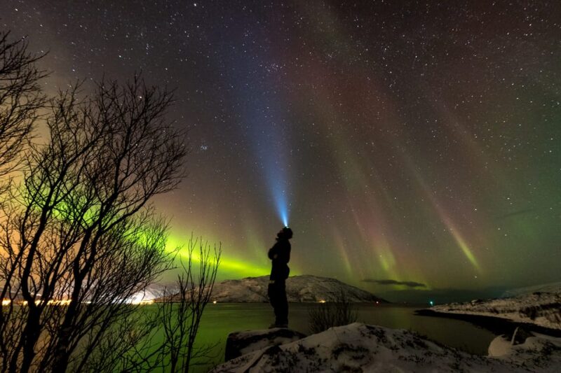 Tromsø Northern Lights - Private Group Tour With Local Guide - Safety Considerations