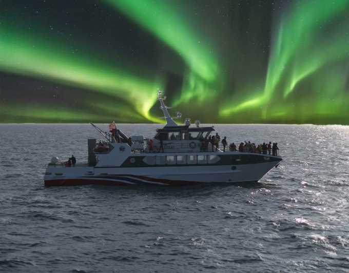 Tromsø Northern Lights Safari on MS Trolltind Nordic - Key Points