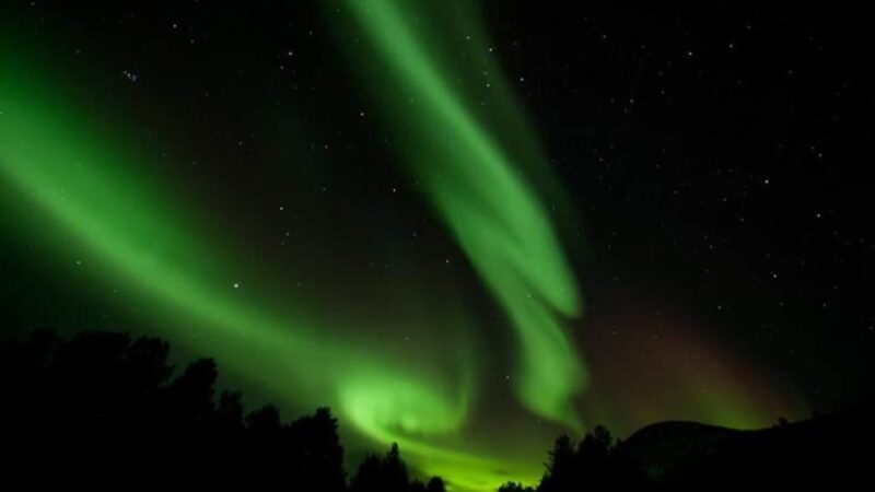 Tromsø Northern Lights Safari With MS Gabriele - What to Expect