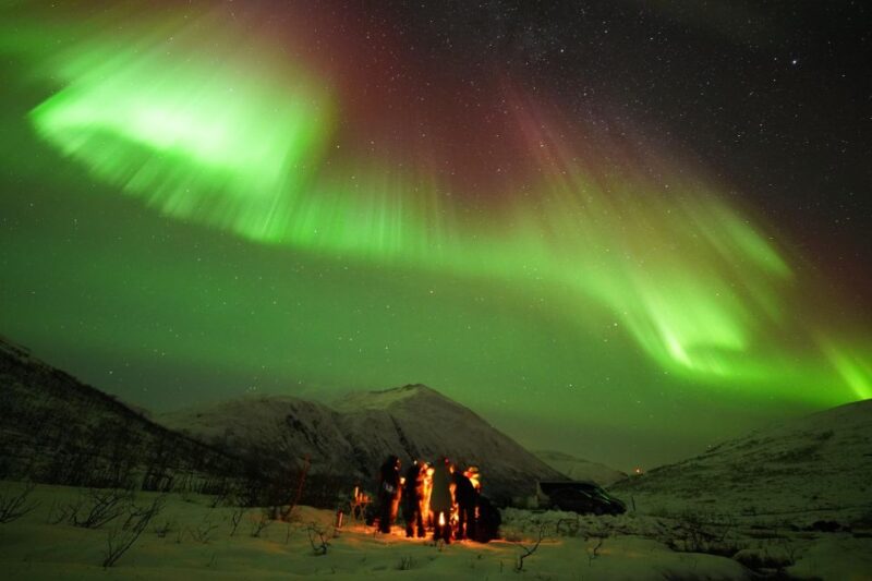 Tromsø: Northern Lights Tour With Free Professional Portrait - Key Points