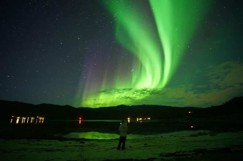 Tromsø: Northern Lights Tour With Free Professional Portrait - Customer Reviews and Ratings