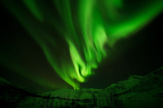 Tromsø: Northern Lights Tour With Free Professional Portrait - Group Size and Availability