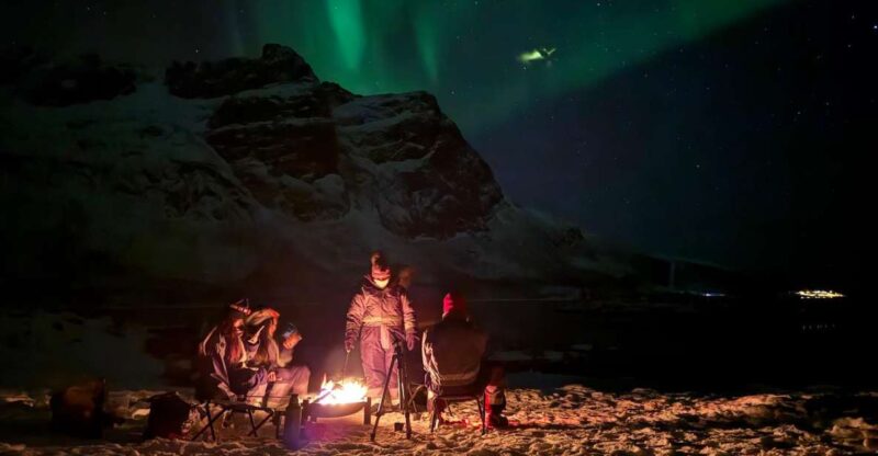 Tromsø: Northern Lights Tour With Hot Food and Drinks - Key Points