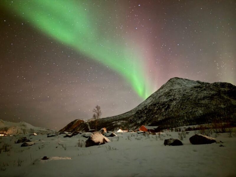 Tromsø: Northern Lights Tour With Hot Food and Drinks - Experience Highlights