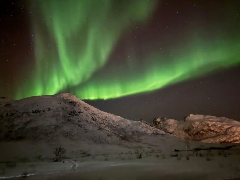 Tromsø: Northern Lights Tour With Hot Food and Drinks - Inclusions