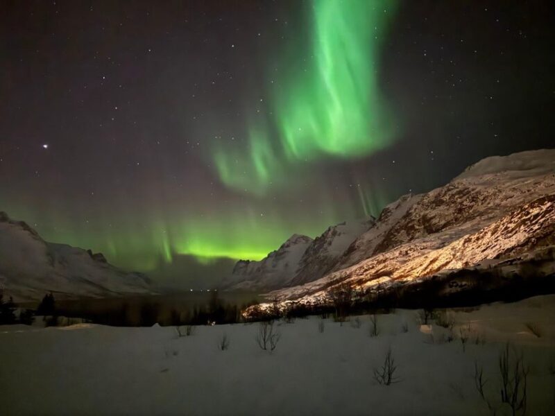 Tromsø: Northern Lights Tour With Hot Food and Drinks - Recap