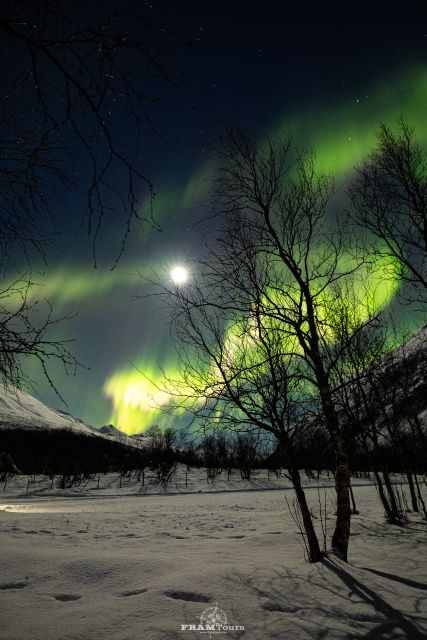 Tromso: Northern Lights Tour With Photographer - Tour Pricing