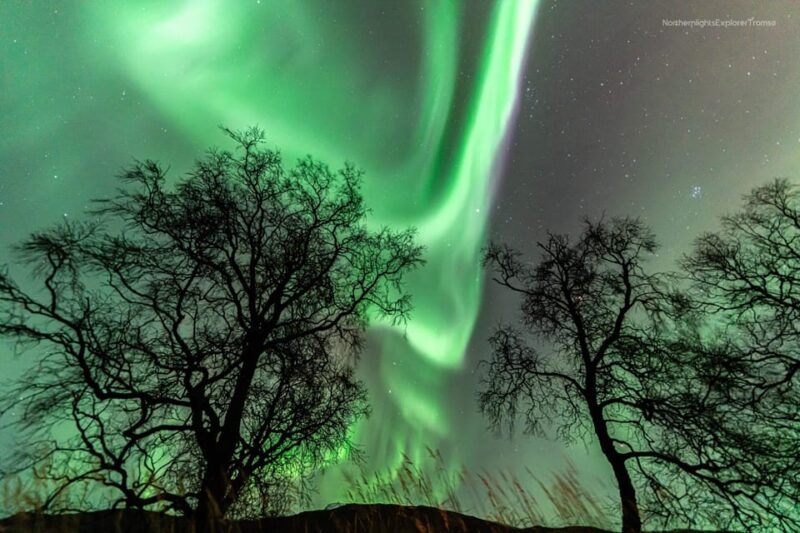 Tromsø: Northern Lights Tour With Photos and Warm Suits - Pickup Location