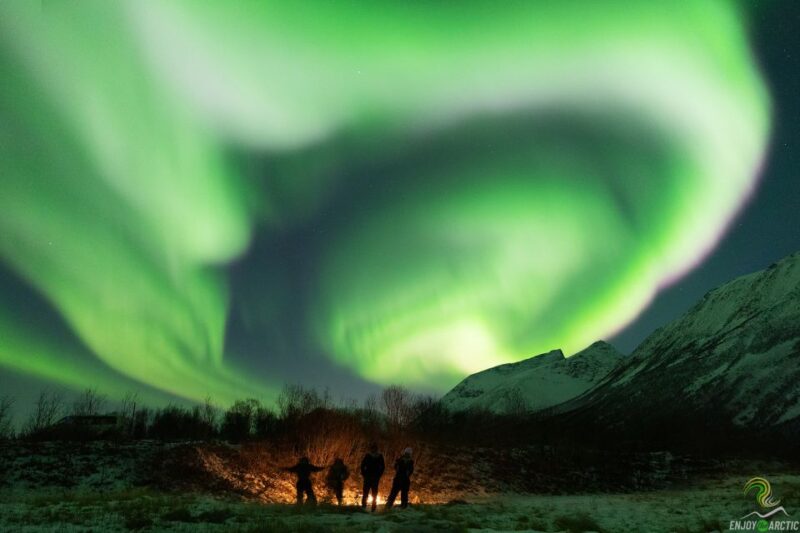 Tromsø: Northern Lights Trip With Campfire and Snacks - Key Points