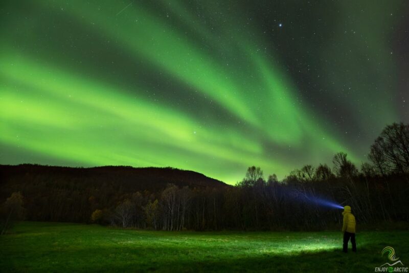 Tromsø: Northern Lights Trip With Campfire and Snacks - Experience Highlights