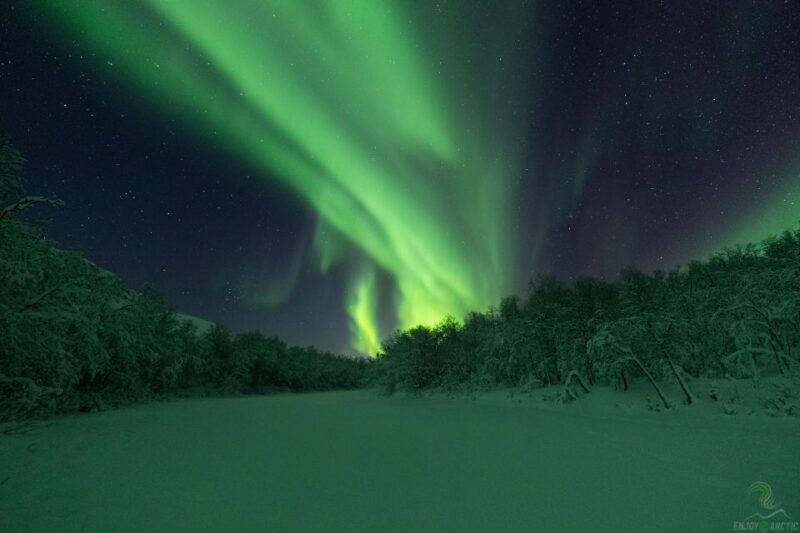 Tromsø: Northern Lights Trip With Campfire and Snacks - Inclusions and Amenities