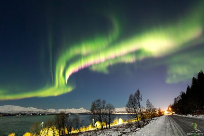 Tromsø: Northern Lights Trip With Campfire and Snacks - Customer Feedback and Ratings