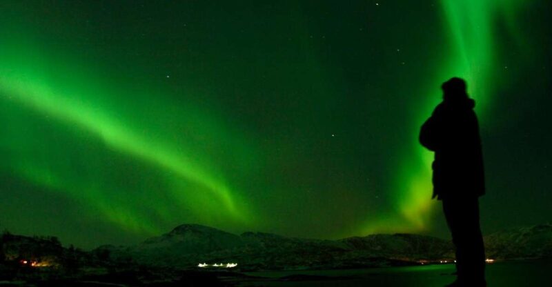 Tromsø: Northern Lights Walking Tour - Tour Pricing