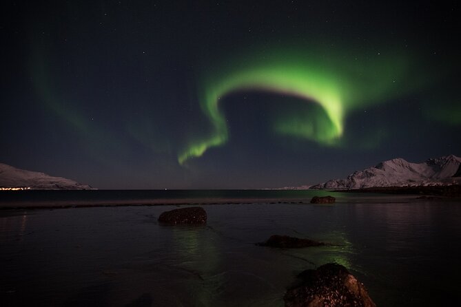 Tromsø Norway - Small Group Aurora Hunt Tour With a Local Guide - Meals and Refreshments