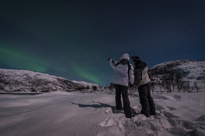 Tromsø Norway - Small Group Aurora Hunt Tour With a Local Guide - Reviews and Ratings