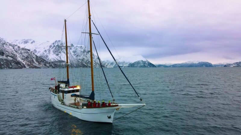 Tromsø: Polar Fjord Cruise on a Luxury Yacht With Lunch - Key Points