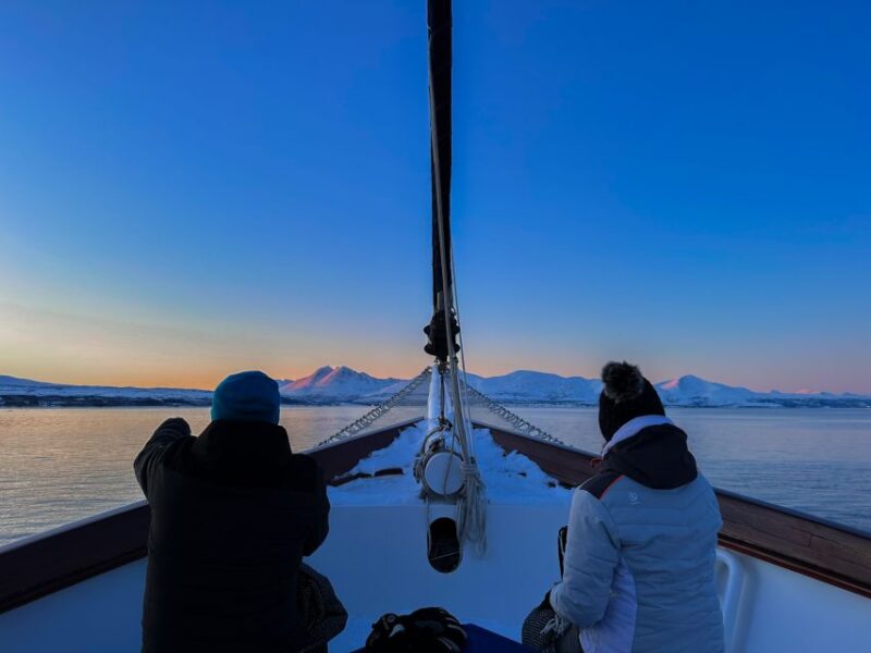 Tromsø: Polar Fjord Cruise on a Luxury Yacht With Lunch - Pricing and Booking Flexibility