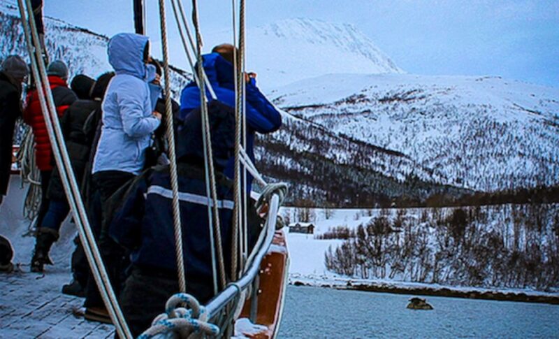 Tromsø: Polar Fjord Cruise on a Luxury Yacht With Lunch - Spotting Arctic Wildlife