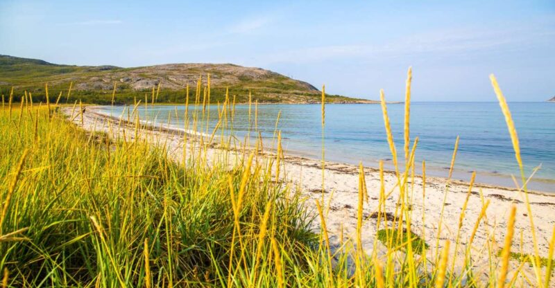 Tromsø: Private Arctic Fjords and Sommarøy Scenic Day Trip - Sommarøy Exploration