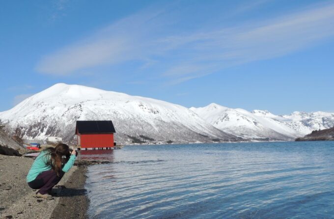 Tromsø: Private Arctic Fjords and Sommarøy Scenic Day Trip - Return Journey