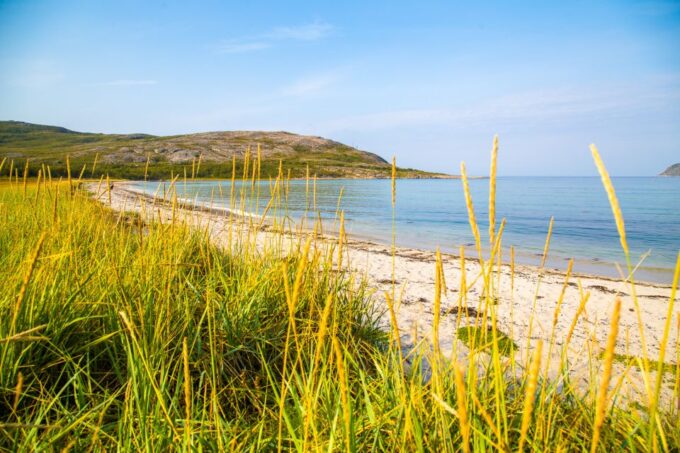 Tromsø: Private Arctic Fjords and Sommarøy Scenic Day Trip - Inclusions and Information