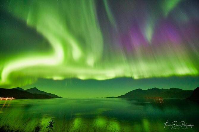Tromso: Private Aurora Chase by Minivan - Accessibility and Participation