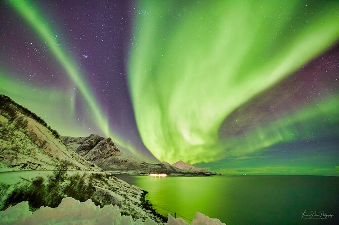 Tromso: Private Aurora Chase by Minivan - Booking Information