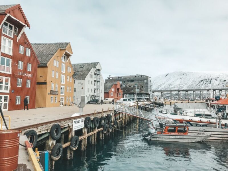 Tromsø: Private City Tour - Tour Experience and Highlights
