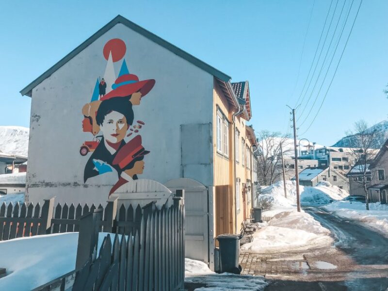 Tromsø: Private City Tour - Exploring Tromsøs History and Culture